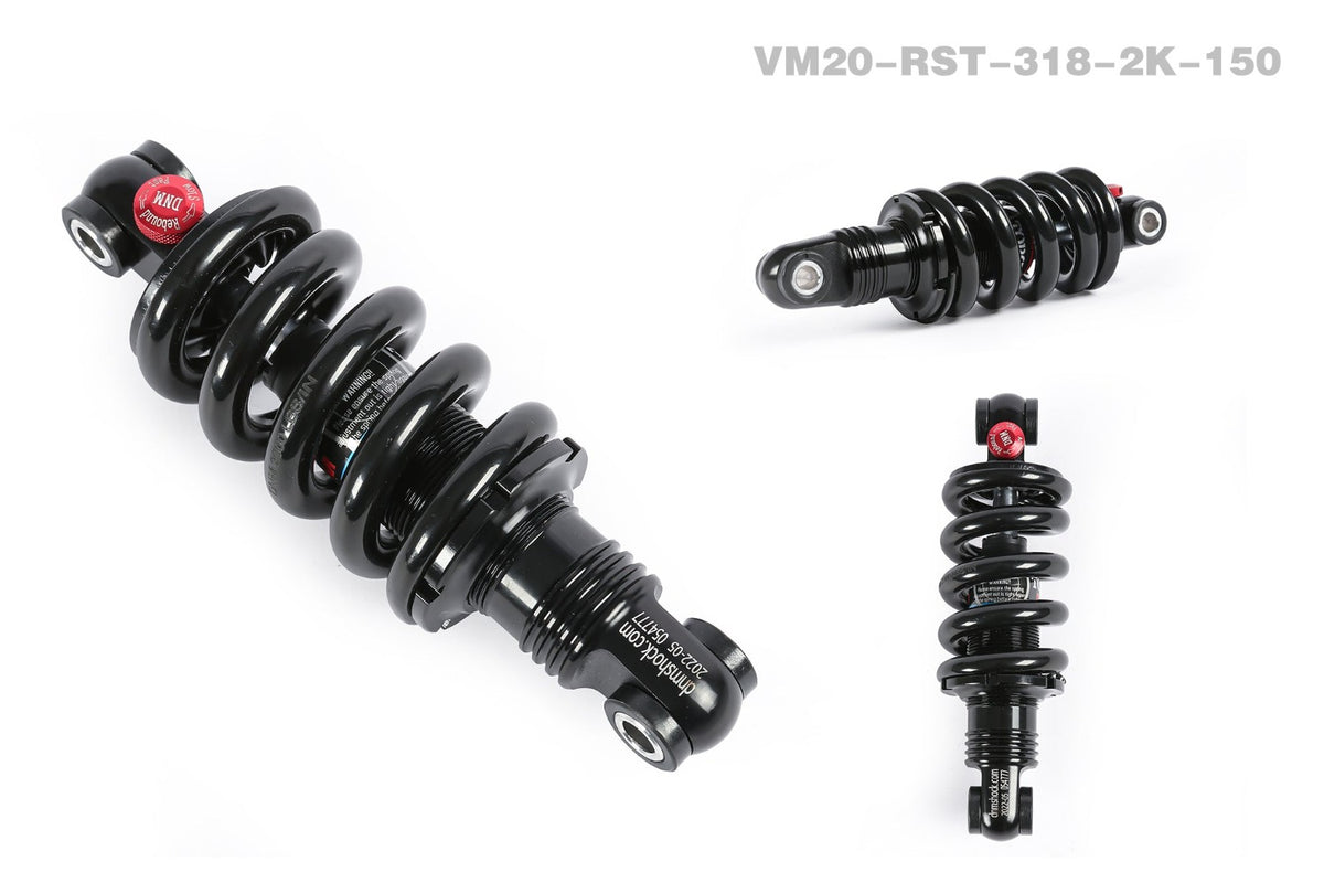 DNM Adjustable Suspension for EMOVE Roadster